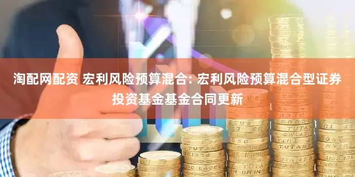 淘配网配资 宏利风险预算混合: 宏利风险预算混合型证券投资基金基金合同更新