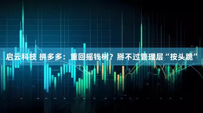 启云科技 拼多多：重回摇钱树？掰不过管理层“按头跪”